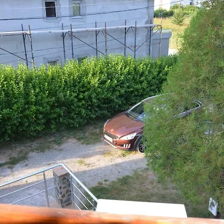 Fiesta Navodari